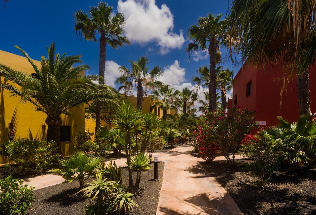 Appartement Oasis Vistamar à Corralejo Extérieur photo