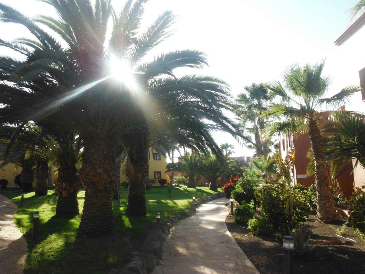 Appartement Oasis Vistamar à Corralejo Extérieur photo